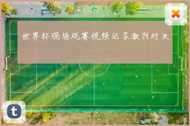 世界杯现场观赛视频记录激烈对决