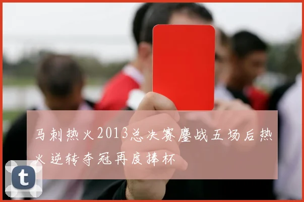 马刺热火2013总决赛鏖战五场后热火逆转夺冠再度捧杯